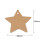 100Pcs Star Shaped Gift Tags Gift Wrapping Tags for Holiday Graduation 2
