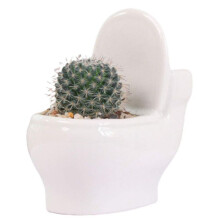 2Pack White Ceramic Toilet Plant Pot/Bonsai Pot/Flower Pot/Succulent Planter Perfect Gifts for Women, Mom or Birthdays
