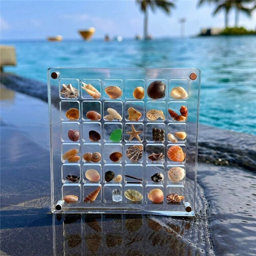 2PCS 36Grids Acrylic Clear Magnetic Seashell Display Box, Diamond Gemstone Beads Storage Display Organizer Box 2