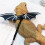 Bearded Dragon Lizard Leash Harness - 3 Size Pack Dinosaur Wing Lizard Harness Leash for Bearded Dragon Lizard Silver 3