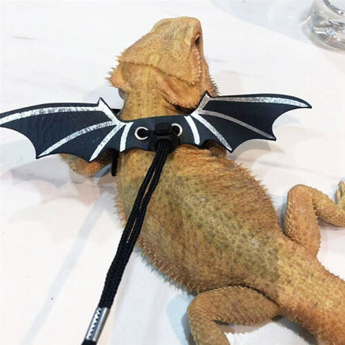 Bearded Dragon Lizard Leash Harness - 3 Size Pack Dinosaur Wing Lizard Harness Leash for Bearded Dragon Lizard Silver 2