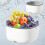 Electric Vegetable Washing Basket Kitchen Multi-Function Double-Layer Fruit and Vegetable Drainer Fruit Washing Machine 4