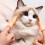 Tiny Hands Finger  Finger Puppet  Finger Hands Miniature Small Hands Toy 6