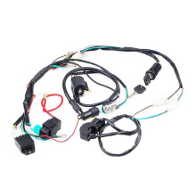 Wiring Harness CDI Ignition Coil Kit for 50cc 70cc 90cc 110cc ATV Electric Quad Vehicle, Full Vehicle Circuit Ignition
