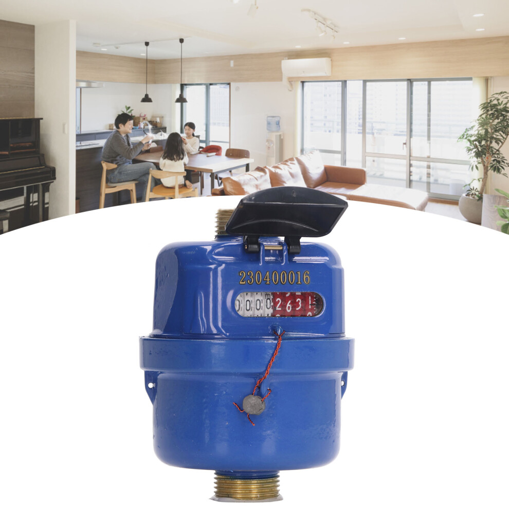 Brass Cold Water Flow Meter 1/2 Inch