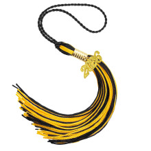 Graduation Tassel Black and Gold with Goldplated 2026 Charm for Graduation Cap Accessories