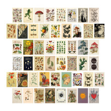 50 Pz Vintage Botanica Tarocchi Estetico Parete Collage Kit Flora e Fauna Insetti Illustrazione Arte Poster Carta Room Decor