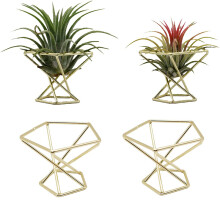 4 StüCk Geometrische Luft Pflanzen Halter Luftpflanzen Rack Metall Pflanzen StäNder Pflanzer Regale Himmeli Dekor Tillandsien BehäLter