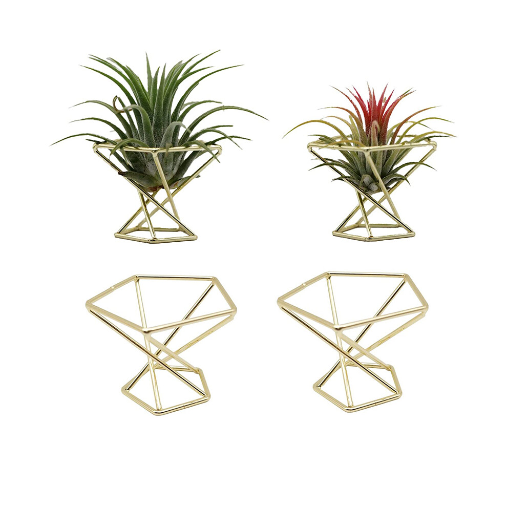 4 Pcs Geometric Air Plant Holder Airplants Rack Metal Plants Stand Planter Shelves Himmeli Decor Tillandsia Containers Golden 6033393059953