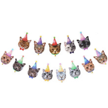 Banner zum Geburtstag Von Haustieren, Cartoon-Motiv, Niedliche Katze, Hund, Papier-Wimpelkette, Girlande, Geburtstagsparty, Katze, Hund, HäNgende