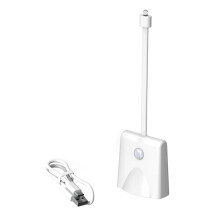 Veilleuse de Projection Colorée pour Toilettes, LED RVB, Capteur de Mouvement, Lampe Murale Magnétique, Rechargeable, Capteur Corporel