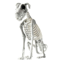 Scheletro di Cane Seduto di Halloween Scheletro di Cane Seduto Spaventoso e Spettrale con Denti Aguzzi Decorazione di Halloween