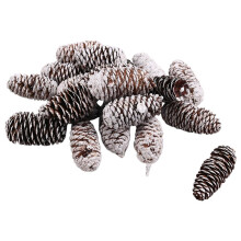 20 PCS Pine Cones Decorations, Natural Snow Pine Cones Large Pine Cones Christmas Pine Cone Ornaments