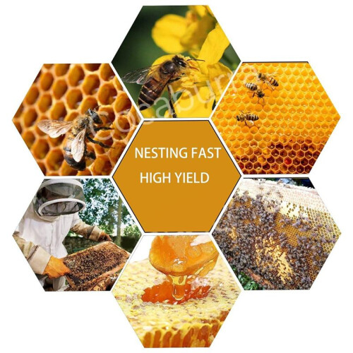 30pcs Bee Hive Foundation Sheets, Deep Beeswax Foundation Sheets for Bee Frames Beekeeping Tools 41.5x19.5cm 2