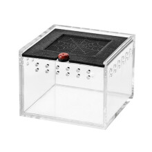 Enclos pour Araignées, Petite Boîte D'Élevage D'Insectes, Empêche la Fuite des Reptiles, Terrarium, Cage D'Alimentation pour Insectes C