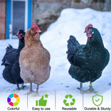 80Pcs 16mm Chicken Leg Bands with 8 Colors,Colorful 01-80 Numbered Chicken Identification Leg Bands Duck Poultry Leg Tag