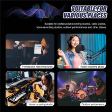 C5 Universal Studio Mic Screen Live Recording Microphone Anti-Interference Noise Reduction Wind Screen