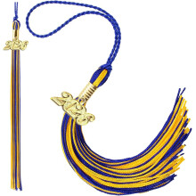 Graduation Tassel with Gold 2026 Year Charm, Blue and Gold Cap Accessory for  School and College