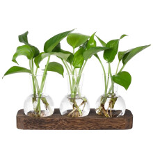 Plants Propagation Stations Glass Vase Station Retro Plant Terrarium with Wooden Tray Bulb Flower Vase Home Office Decor