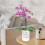 Vasos de OrquíDea com Furos, Vaso de OrquíDea de Cerâmica de 4 Polegadas para Repotting, Vaso de Plantador de Flores Interno e Externo, Branco 6