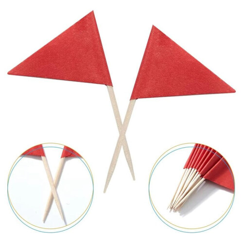100 Pcs Solid Red Toothpick Flags Small  Plain Red Color Stick Cupcake Toppers Flags DIY Decoration 2