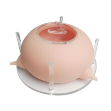 Milk Puppy Feeder Milk Bowl Devices Rabbit Kitten New Born Feeding Pet