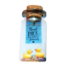 Message Glass Bottles Message Decorative Jar for Valentines Birthday H