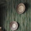 Abigail Ahern Wanderlust Fern Wallpaper 4