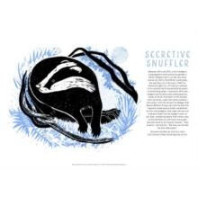 Tom Coxs 21st Century Yokel Poster Secretive Snuffler by Tom Cox Other
