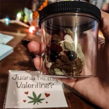 Adopt A Weed Plushie,Jar Funny Plush Desktop Accessories B
