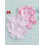 (12-18 Months, Pink) Μαγιό Rash Guard όρθιος γιακάς 3
