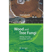 Wood and Tree Fungi by Olaf Schmidt Paperback Book