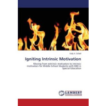 Igniting Intrinsic Motivation by Schell Kelly a Paperback Book