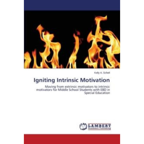 Igniting Intrinsic Motivation by Schell Kelly a Paperback Book