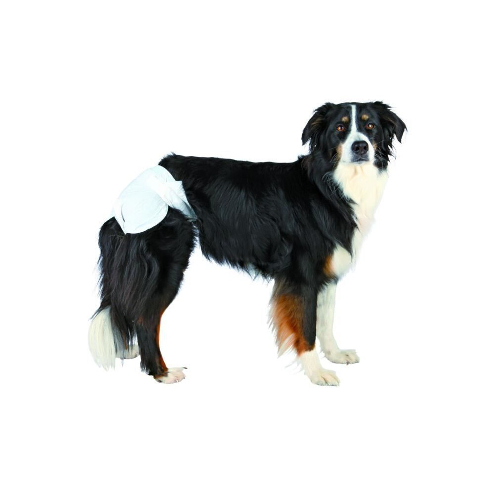 Trixie (S-M (28 To 40 Cm)) Disposable Female Dog Diapers