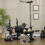 Homcom HOMCOM Adjustable Weight Bench Multifunction Full Body Workout Bench 1