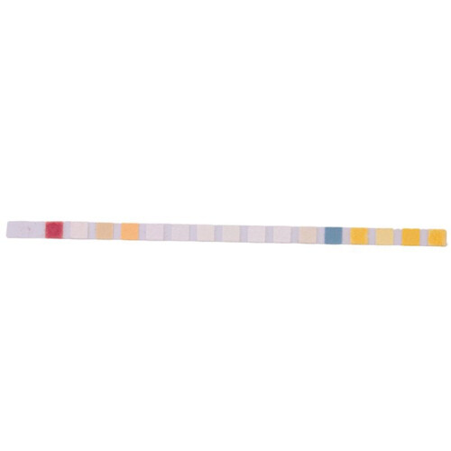 Water Testing Strips for Drinking Water- EPA Level Home Use, Water Test Strips with Lead, Mercury, Iron, PH, Hardness 2