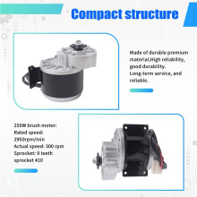 Electric Bicycle/Bike/Scooter Motor, Gear Brushed Motor 250W(24V)