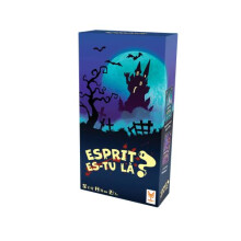 Spirit are you there - Board Game
