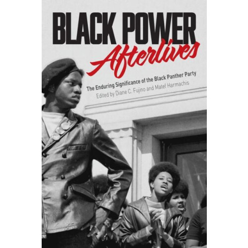 Black Power Afterlives Paperback Book