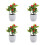 Marshalltown 1 Aluminium Hawk 13x13-inch 5