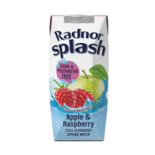 Radnor Hills Splash Water Apple Raspberry 250ml 24 Pack