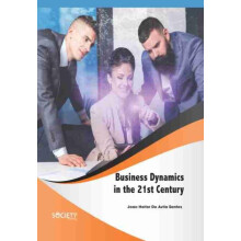 Business Dynamics in the 21st Century by Joao Heitor De Avila Santos H