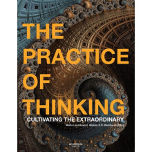 The Practice of Thinking by Weaver D.R. Weinbaum Paperback Book