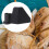 Bread Maker Paddle Replacement Kneading Blade for Uniform Dough Texture and Easy Installation 3