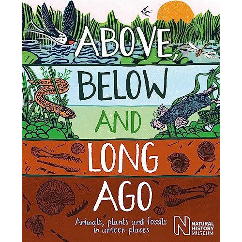 Above Below and Long Ago by Michael Bright Paperback Book