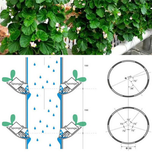 10 Sets Hydroponic Soil-Free Growing System DIY Hydroponic Nursery Garden Kit 2