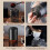 Portable Electric Coffee Grinder - USB-C Rechargeable, Ceramic Grinding Core, Efficient Coffee Bean Milling Tool 5