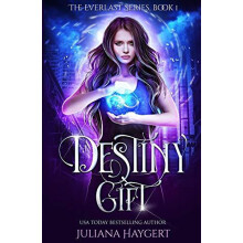 Destiny Gift by Juliana Haygert Paperback Book