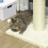 PawHut PawHut 83cm Cat Tree Tower with Scratching Post, Kitten Bed, Toy, Cream 9